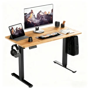 1.6M 63Inch 120KG 265LB Load Electric Desk Ergonomic Dual Motor Lift Desk Height Adjustable Computer Table for Home Office