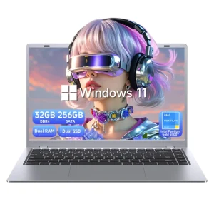 14 Inch Intel Laptop 32GB RAM 256GB SSD Intel Pentium Gold 6500Y Windows 11 Pro Business Laptop