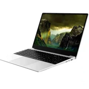 笔记本电脑 15.6英寸 8GB DDR4 256GB SSD Windows 10 Intel Celeron Intel UHD Graphics 600 上网本