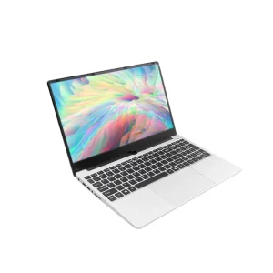 15.6英寸 FHD 1920×1080 屏幕 i5-10210U 笔记本电脑 8GB 256GB/512GB