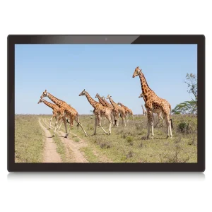 15.6 Inch Capacitive Touch Display RK3566 RK3568 2GB 4GB RAM 16GB 32GB ROM WiFi Android Tablet for Smart Automation