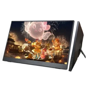 15.6 Inch FHD IPS Portable LCD Monitor with Type C Ports for Laptops Android Phones Portable Monitor