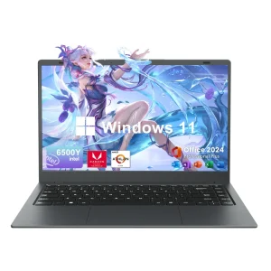 15.6英寸1080P FHD IPS显示器 Win11 Pro 8GB内存 256GB固态硬盘笔记本电脑，配3020e处理器