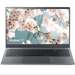 笔记本电脑 16GB内存 512GB 可升级 1TB SSD 15.6英寸 Intel 笔记本电脑