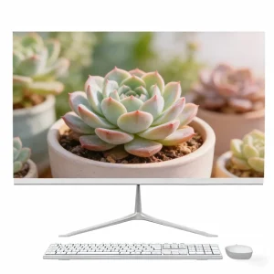 Bulk Buy 24 Inch Screen School Lab Training Computer Win10 11 Computer 8 16 32GB RAM 256GB SSD Desktop All in One PC