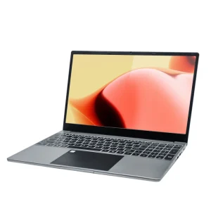 Core i5-12450H 15.6英寸笔记本电脑，16GB RAM，1TB/2TB SSD，FHD IPS，指纹识别，Windows 11 Pro