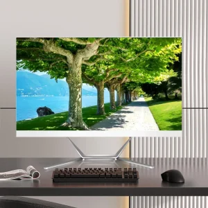 Desktop Computer 21.5 24 27 Inch in All in one PC Gaming