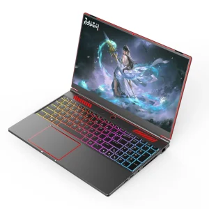 Factory Direct Intel I7-8750H GTX1650 4GB 6 Cores 16 Inch 1920*1080 IPS Gaming Laptop Computer with Backlit English Keyboard