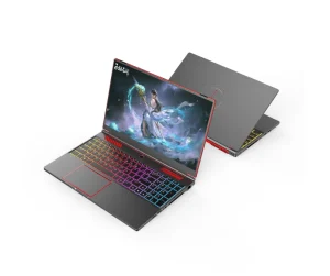 Gaming Laptop Intel Core I9 10885H I7 10870H GTX 1650 4G 16.1 Inch 144Hz IPS Screen Notebook PC Win11 Computer