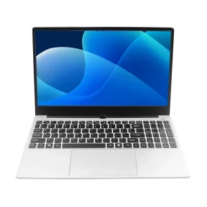 I5-10210U Win10 15.6Inch Laptop 1920*1080 IPS Panel DDR4 8GB RAM 256GB ROM SSD Computer Hardware Software Intel
