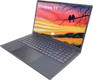 OEM 15.6英寸商务笔记本电脑 N5095 16GB DDR4 512GB 128GB SSD Win11