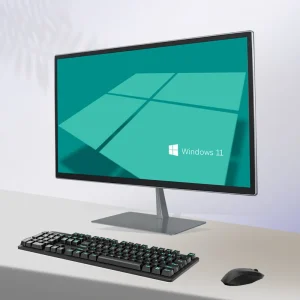 Office 23.8 Inch All In One Desktop Computer 12th Gen Intel Core I5 12450H 2DDR4 Win11 16:9 LED Backlit Widescreen All in One Pc