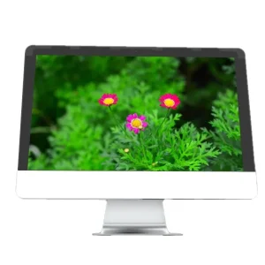 Touch Screen Optional 18.5 21.5 Inch All in One Desktop Computer for Home Office Game School