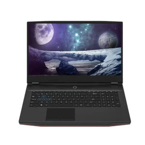 Windows笔记本电脑 17.3英寸 8GB/16GB内存 256GB/512GB固态硬盘 酷睿i7 游戏笔记本电脑